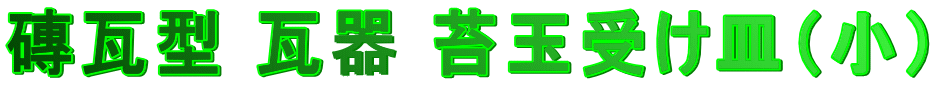�A���^ ���� �ۋʎ󂯎M�i���j