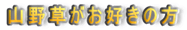 �R�쑐�����D���̕�
